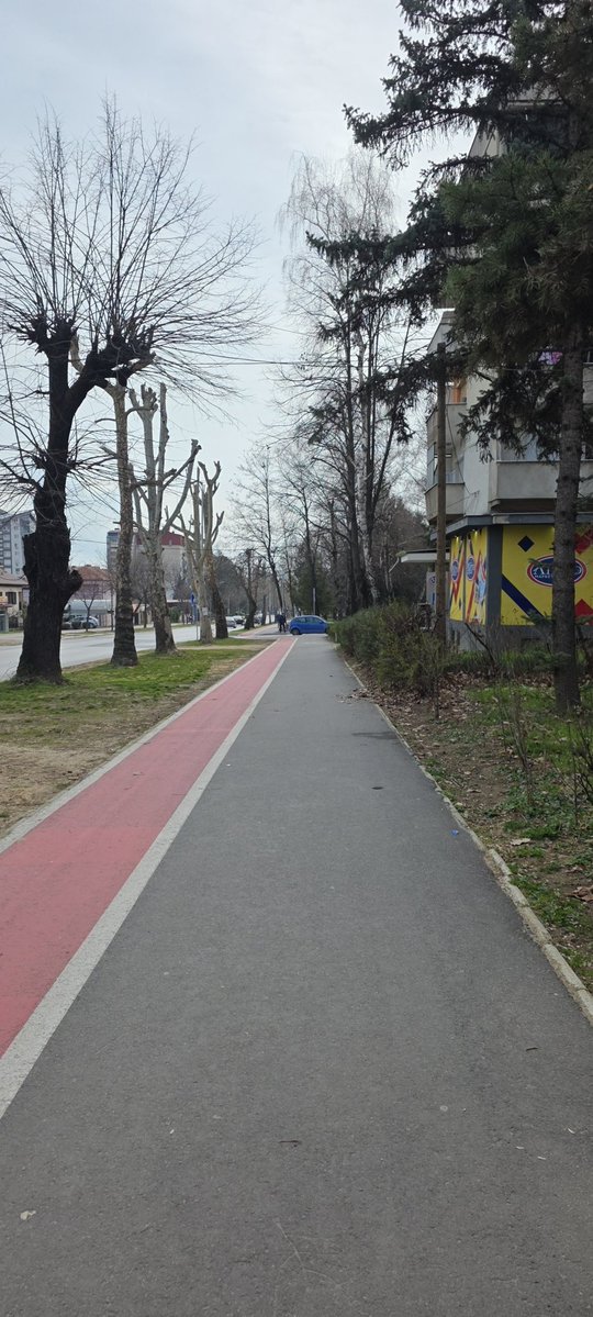 Requem for a dream tweet media