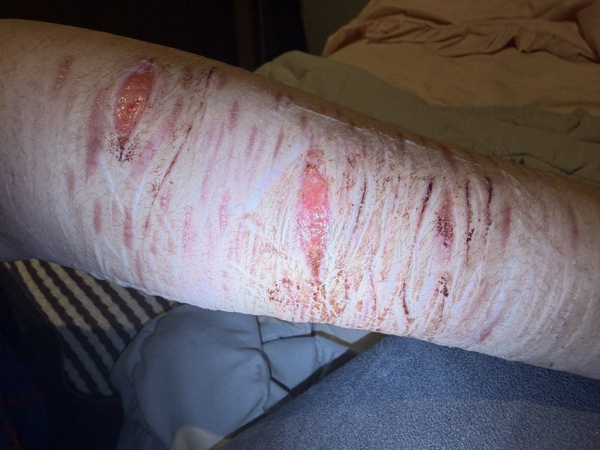 ✧ ⦻ Mori .ᐟ #shedtwt tweet media