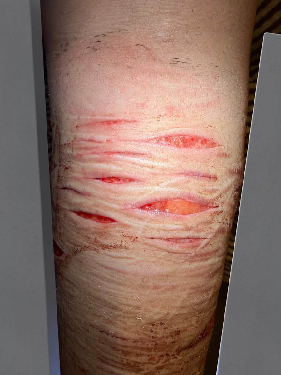 ✧ ⦻ Mori .ᐟ #shedtwt tweet media