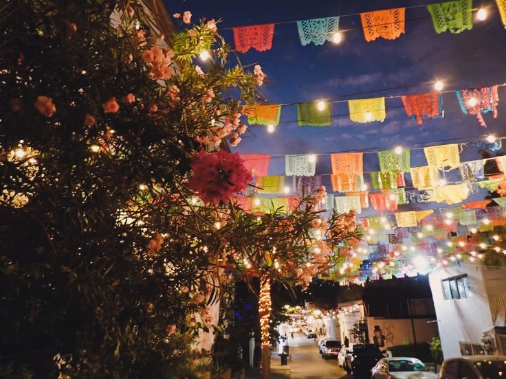 dante🦇🇲🇽 VÍ A MCR 14/02 tweet media