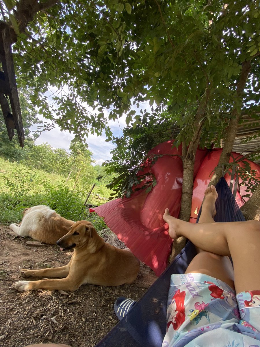 หมวยน้อย🦭 tweet media