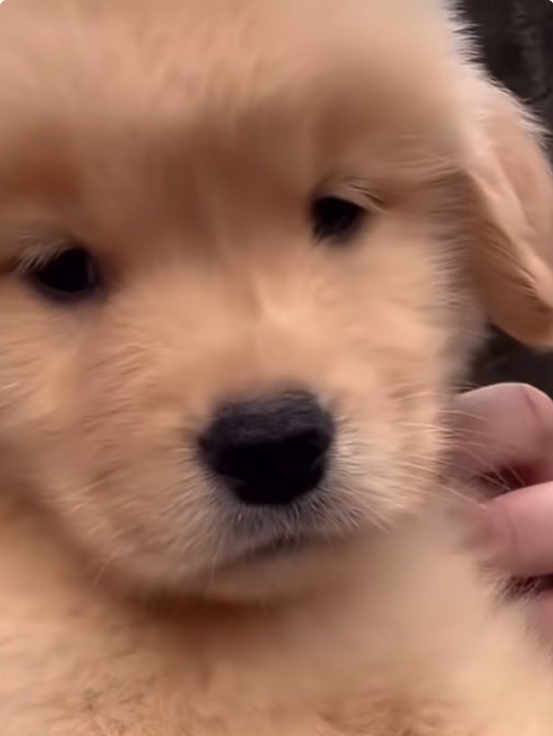 เก้ารัญชน์ tweet media