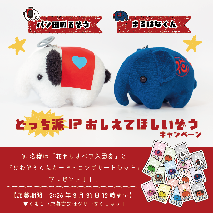 どちらかというとパンダのるゾウかなぁ🐘 でもどちらもお迎えする予定😁
