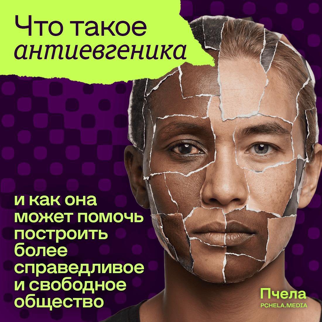 Пчела tweet media