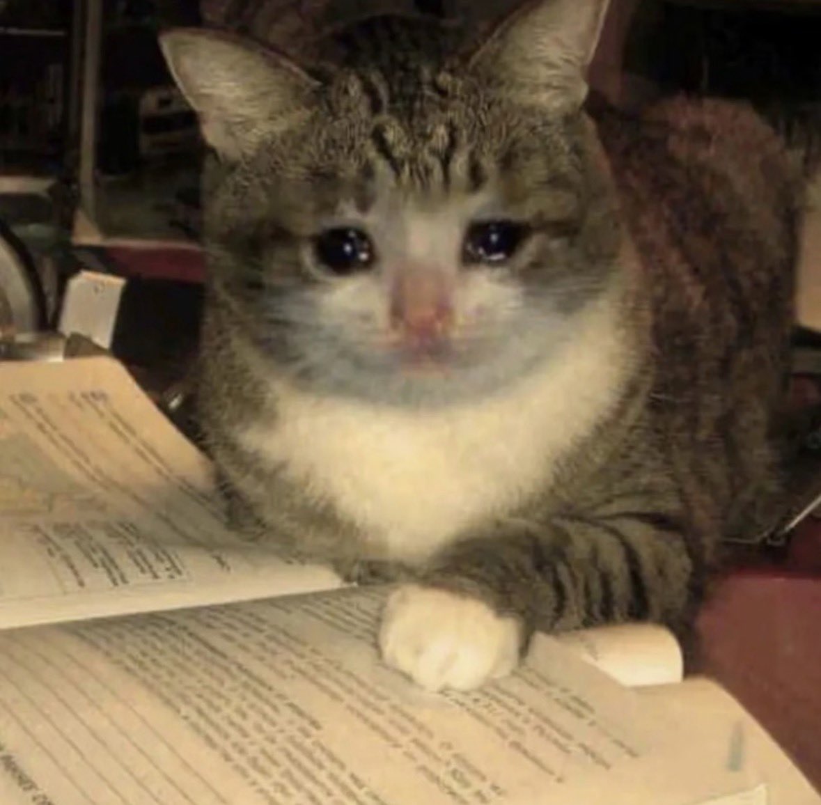 eseeehc's tweet photo. **me start to learn Portuguese bc im scared of giovana** https://t.co/T23OPe7HDH