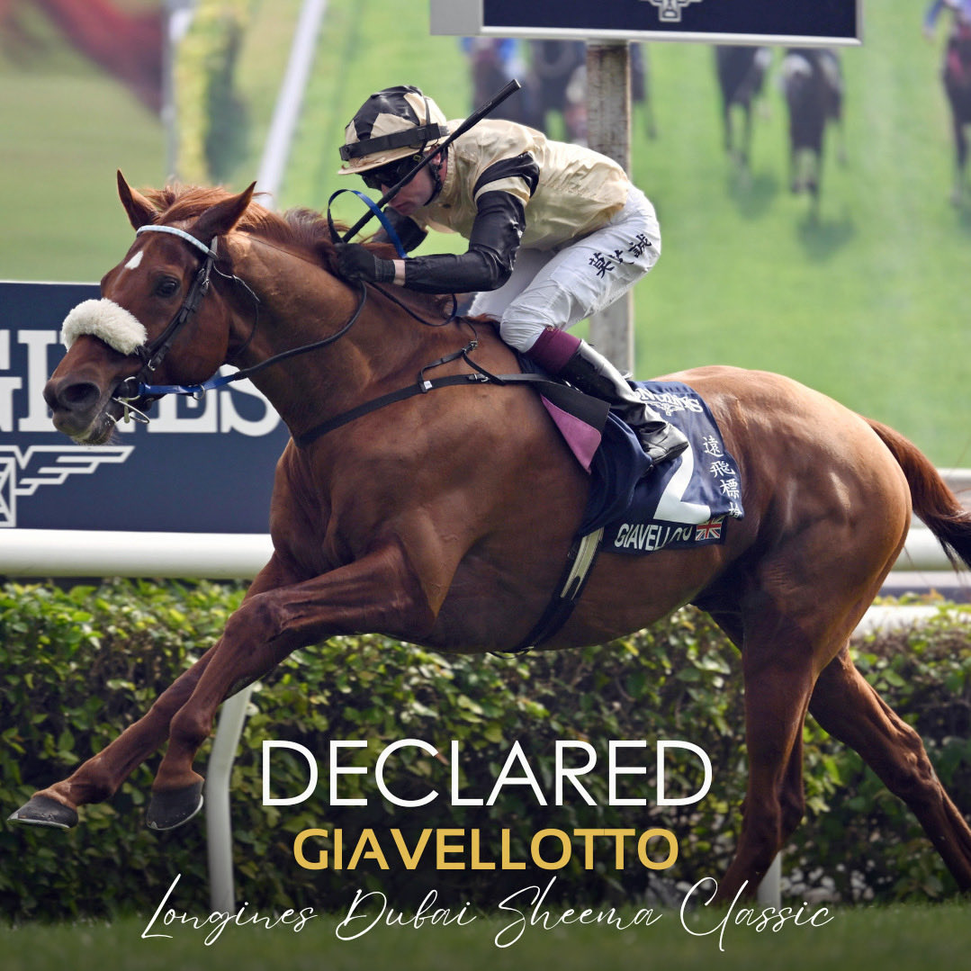 Marco Botti Racing tweet media