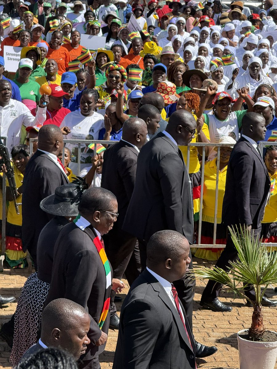 Snowball Tongogara tweet media