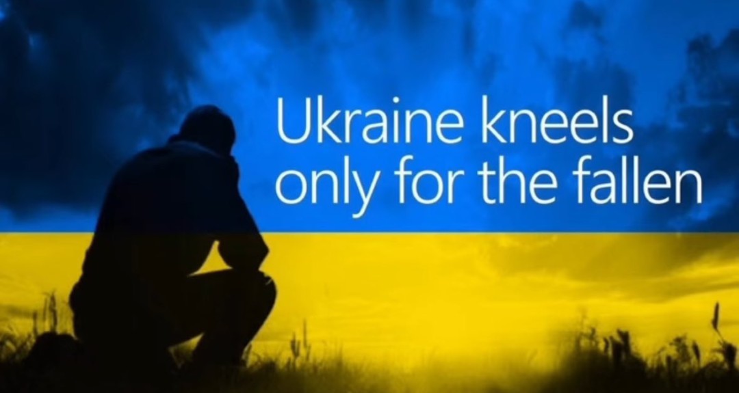 Tim Hermansson 🇸🇪🇺🇦 tweet media