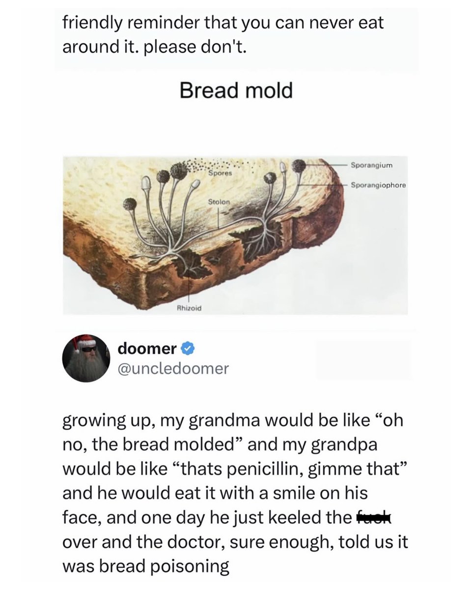 i like food tweet media