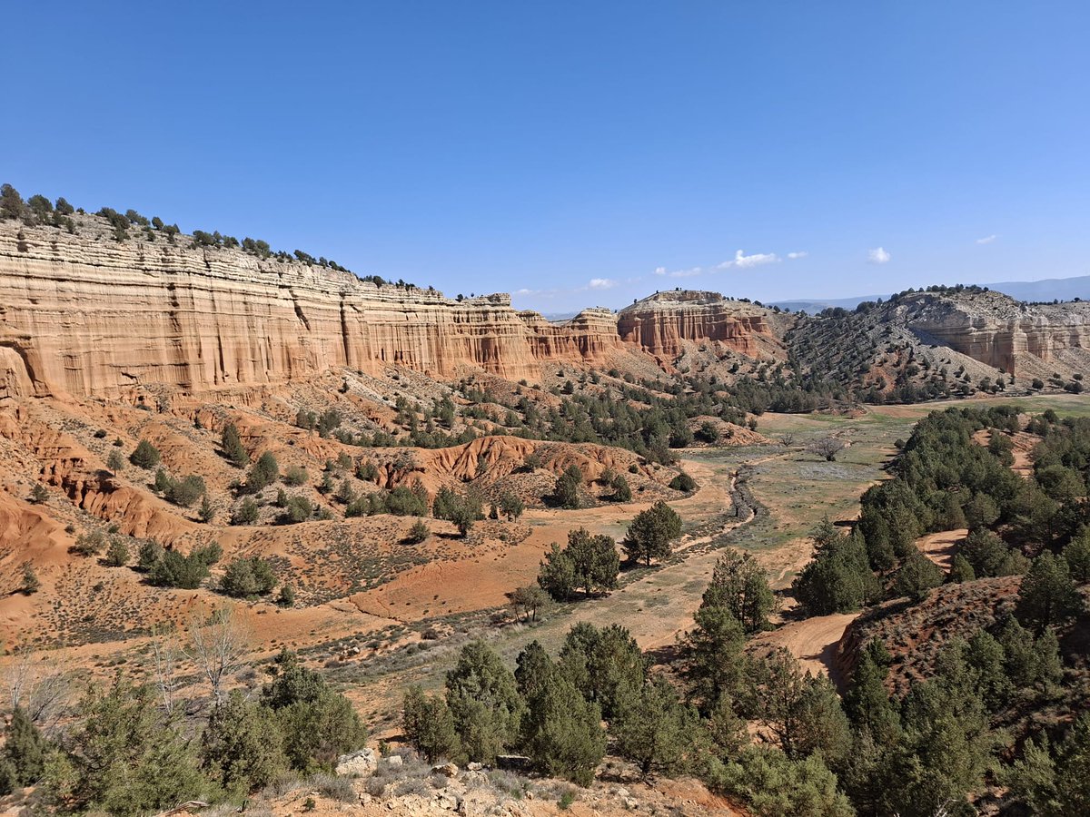 Chema López Juderías tweet media