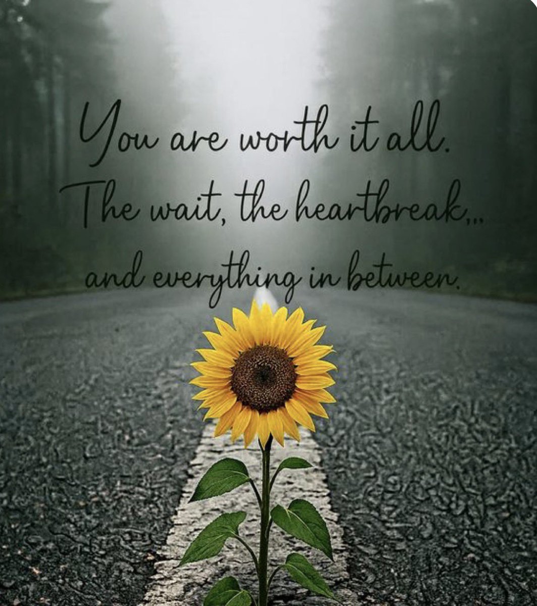 ρєηηу єℓαιηє ღ tweet media