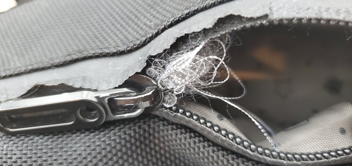 だっつ tweet media