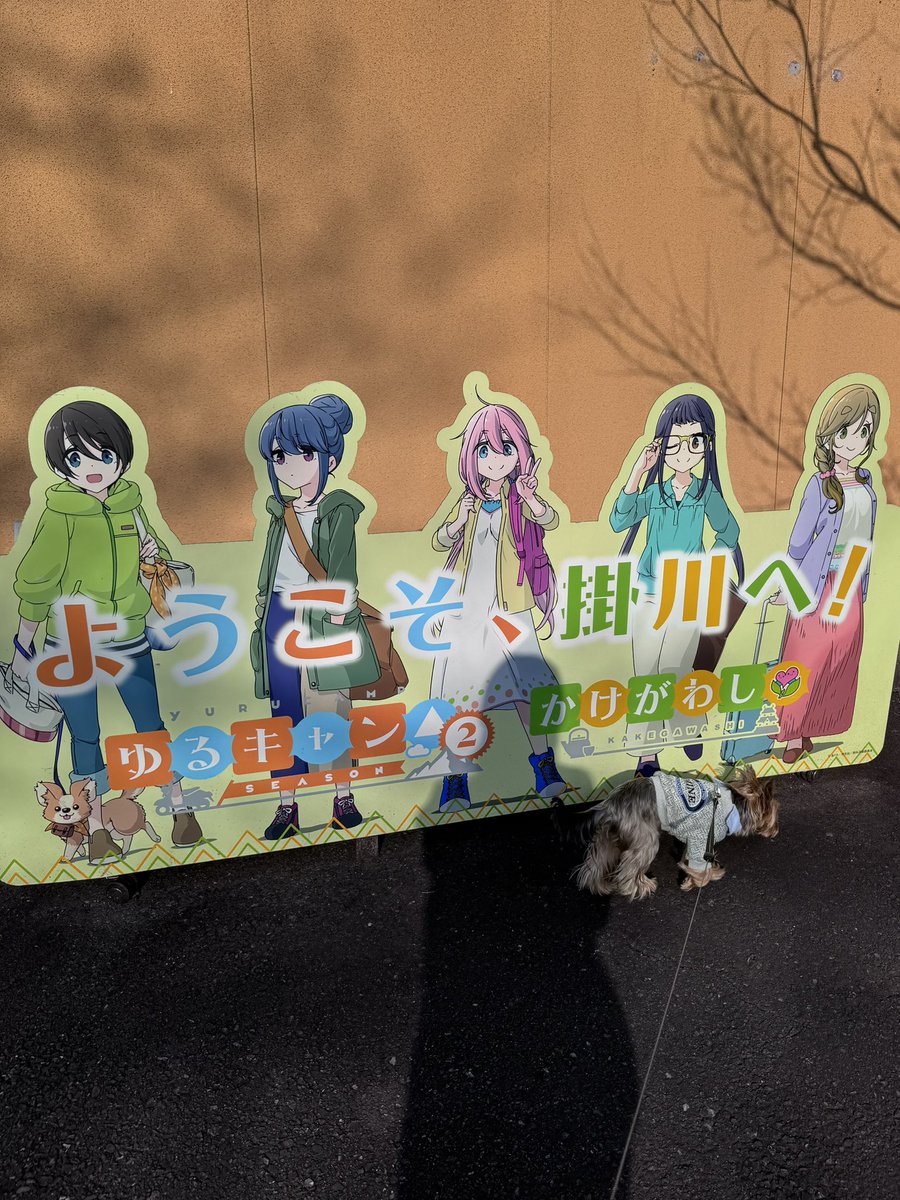 みなみりさ🏍️🍑 tweet media