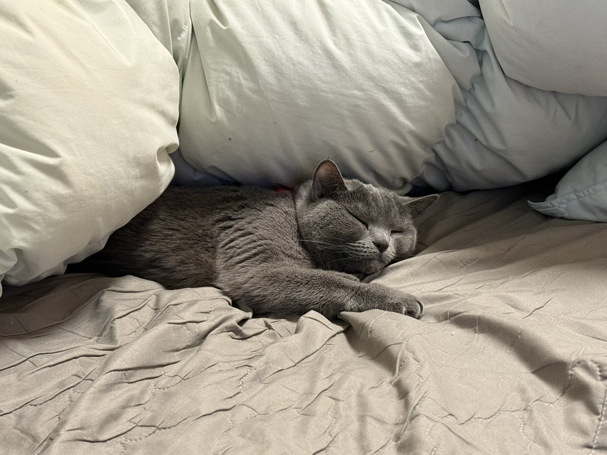 みん☽･:* tweet media