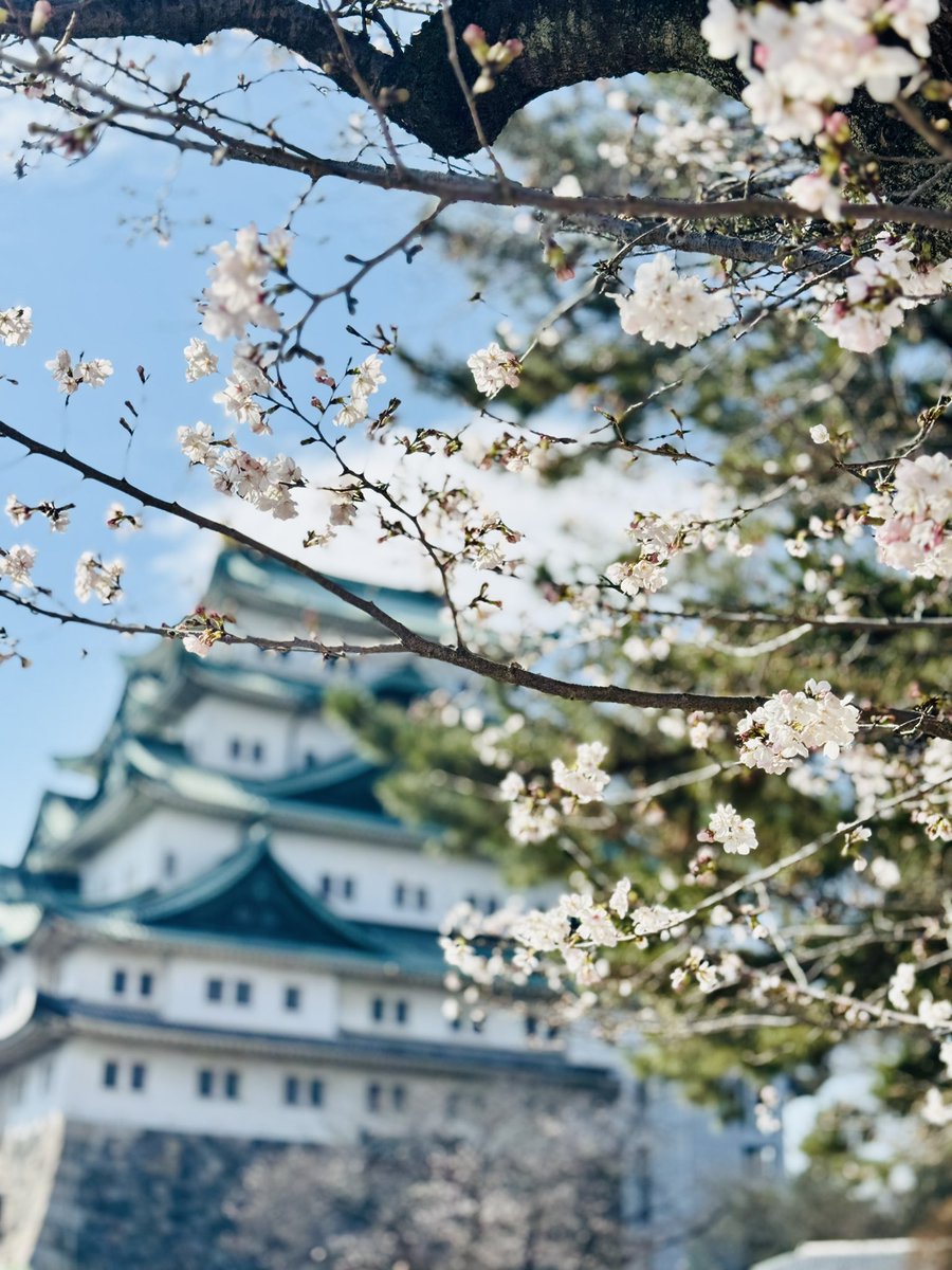 前田慶次(名古屋おもてなし武将隊)3/28名古屋城にて出立 tweet media