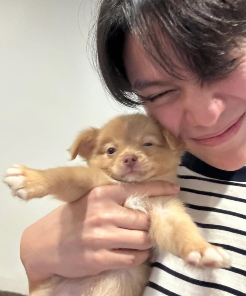 _onmindmine's tweet photo. Puppy Day 🐶💘🤏🏻 https://t.co/74fq53kh15