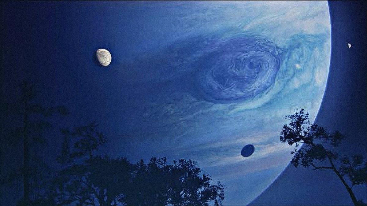 🇳 🇦 '🇻 🇮 tweet media