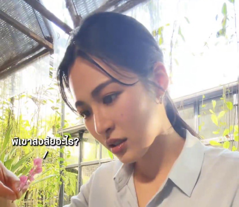 c.cat /ᙏ̤̫͚ tweet media