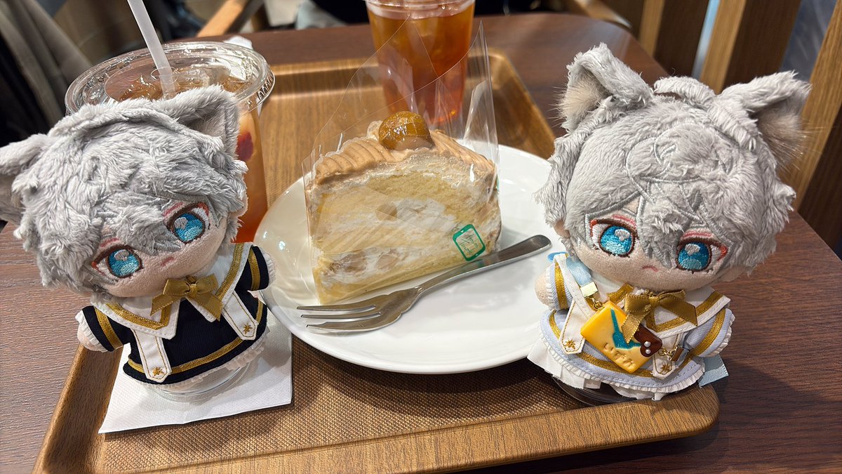 いっぱい歩いたから許してあげるって顔してる

#いつぬいが見られるタグ
#ららみみみ