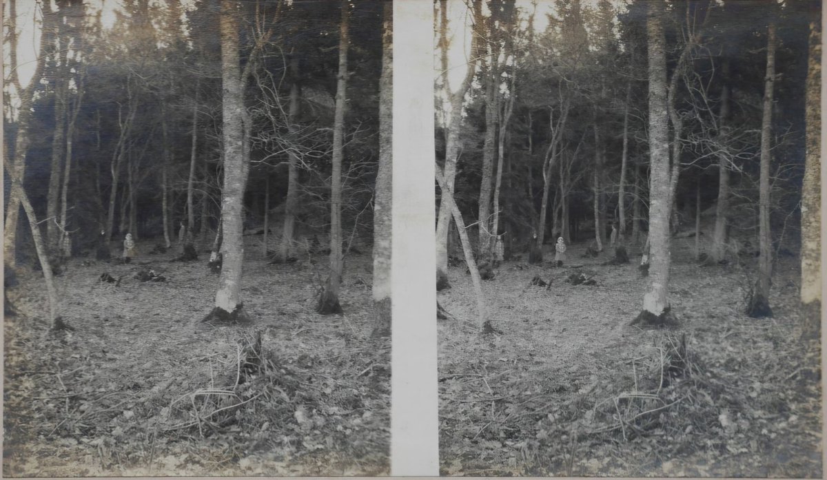 Dr David Barber 💙 tweet media