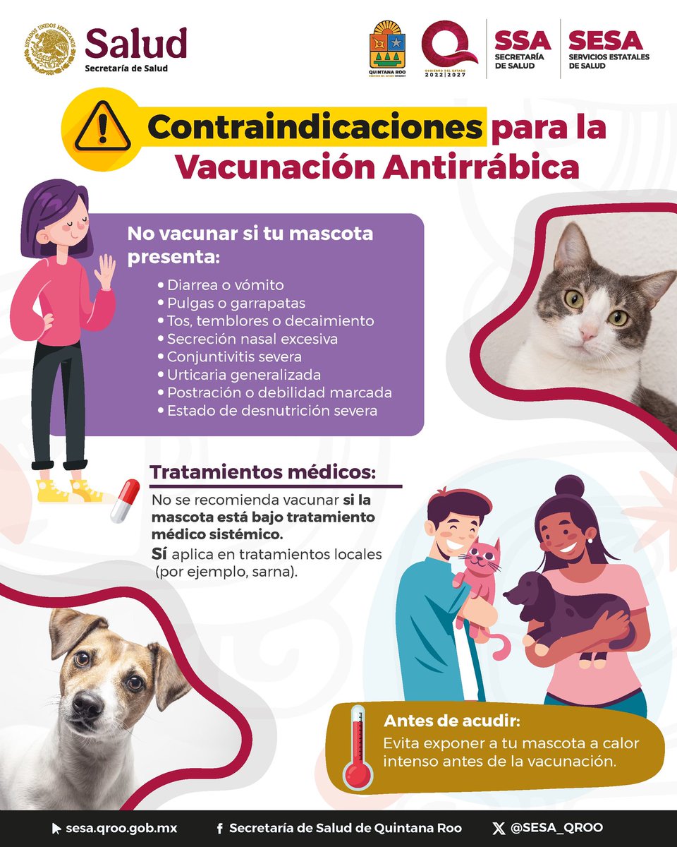 SESA Quintana Roo tweet media