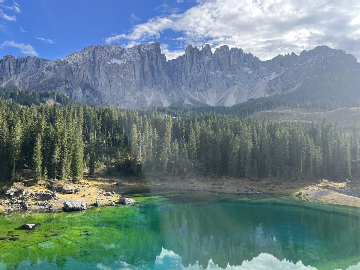 희민이 tweet media