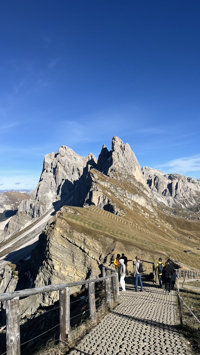 희민이 tweet media