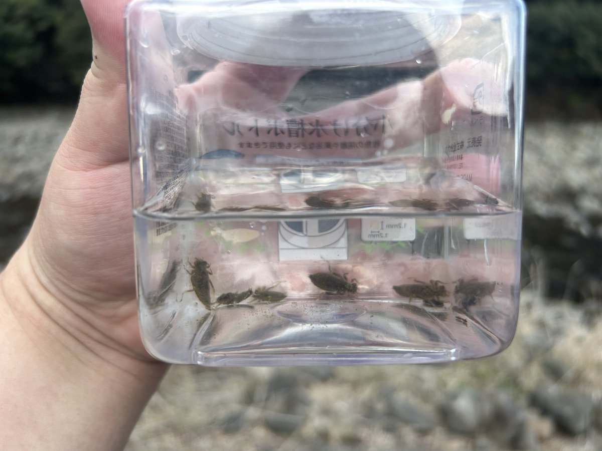 あざらし☆ tweet media