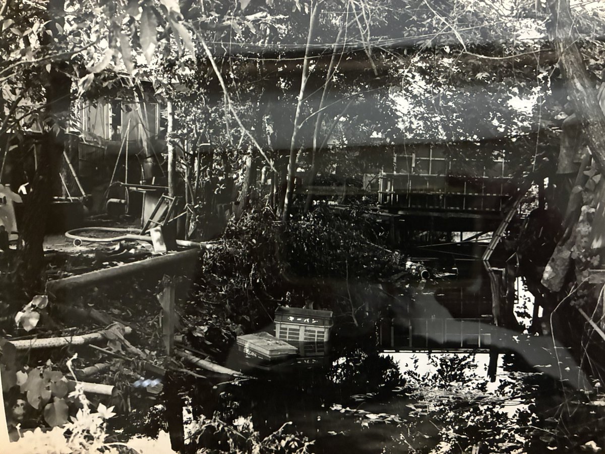 金村修 Osamu Kanemura tweet media