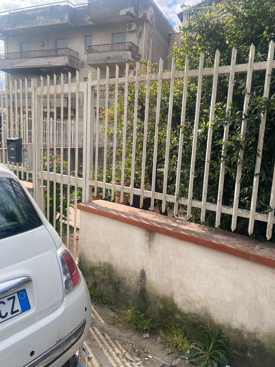 Rap Palermo S.p.A. tweet media