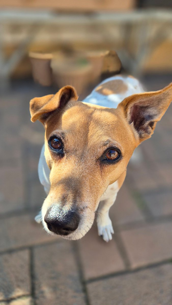 @Vaneshree02 tweet media