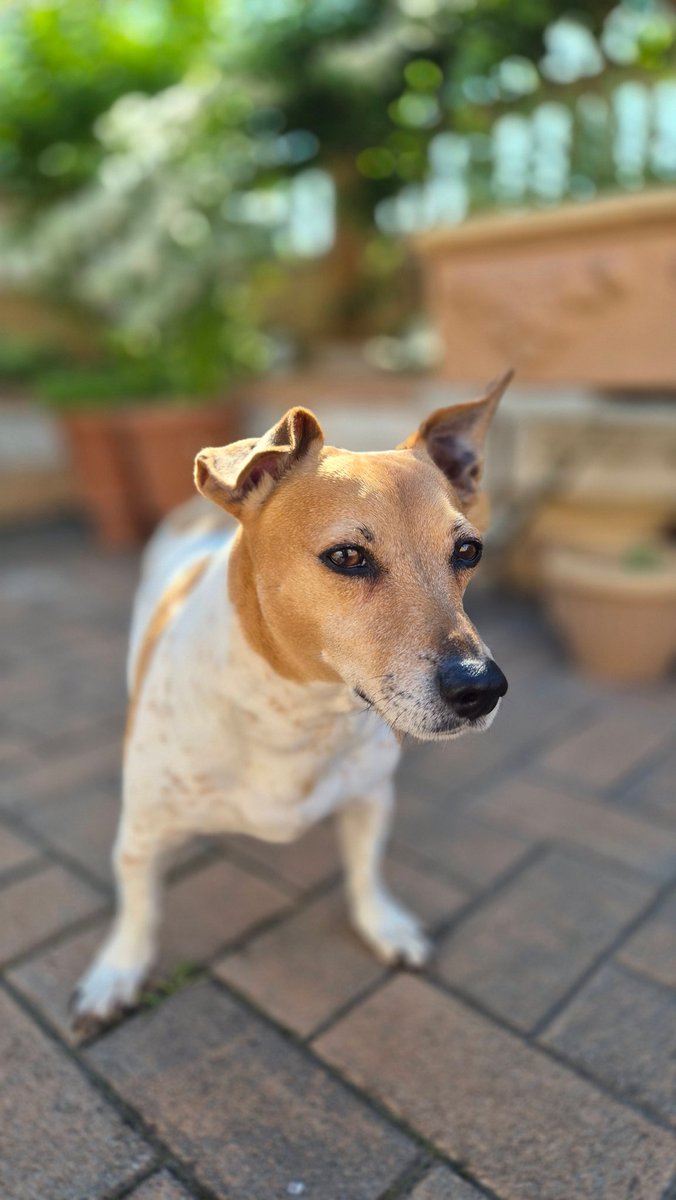 @Vaneshree02 tweet media