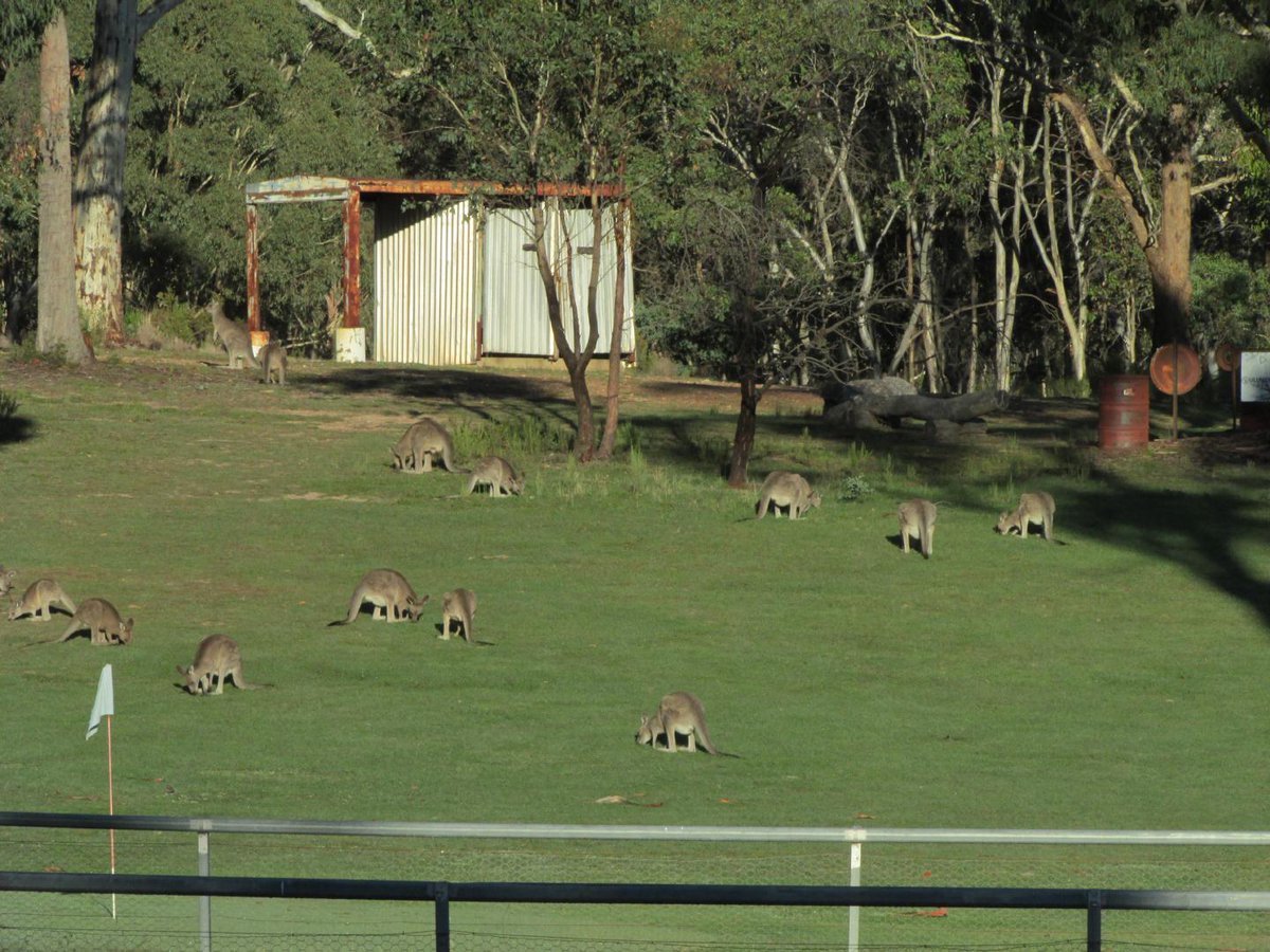 CJ_Baird tweet media