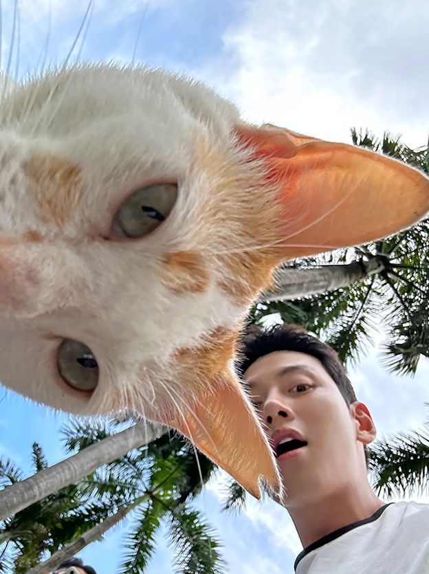 Greishawn's tweet photo. Meow! 🐈 https://t.co/IJjZlkiZ6Q