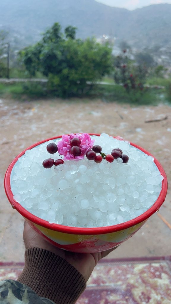 ابو جاسم { مـزرعـة بـثــرة} tweet media