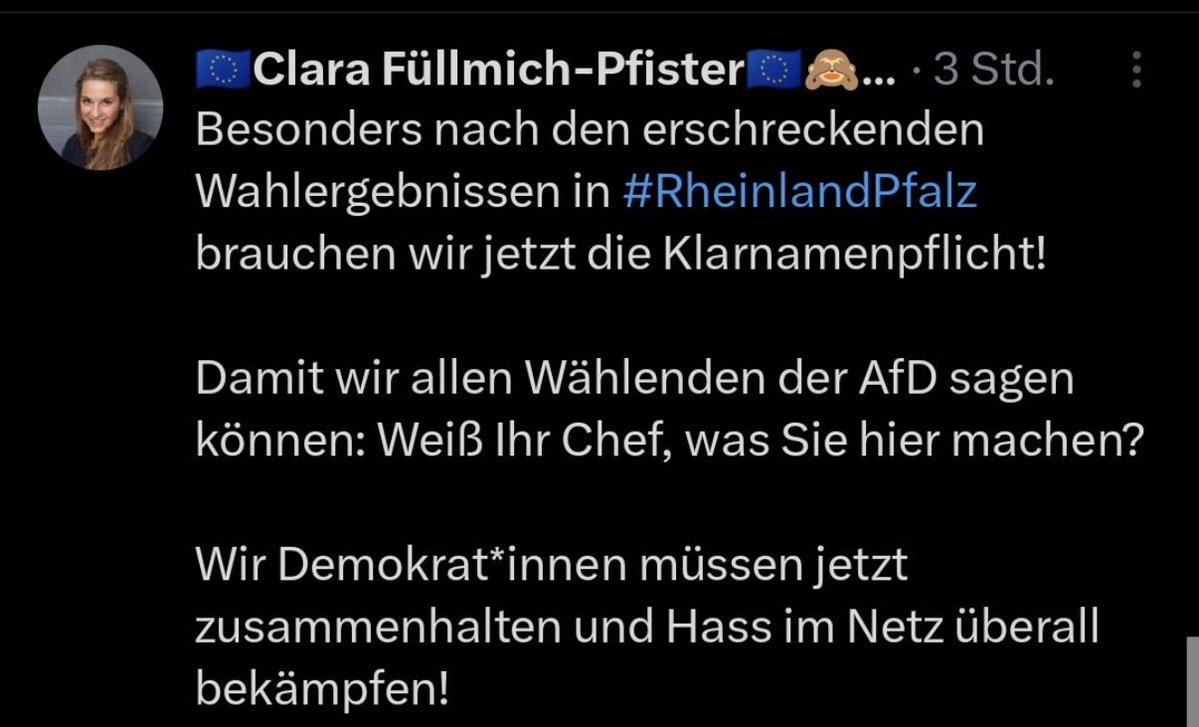 Michael 🇩🇪 tweet media