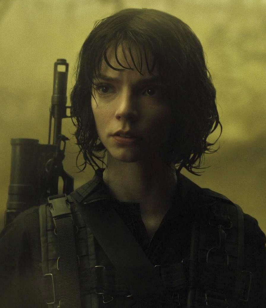 Mandevil tweet media