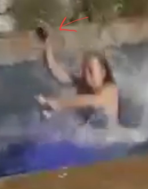 Reconquista tweet media