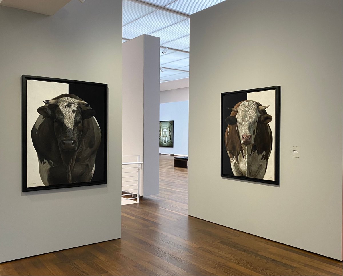 plusonegallery's tweet photo. ‘Axel the Unseen Bull’ and ‘Rudi the Unseen Bull’ by #AlexandraKlimas are currently on display at the Museum Frieder Burda for their ‘Rivaling Reality - 60 Years of Photorealism’ #exhibition running until 02nd August 2026 https://t.co/uhiAKxJNAH