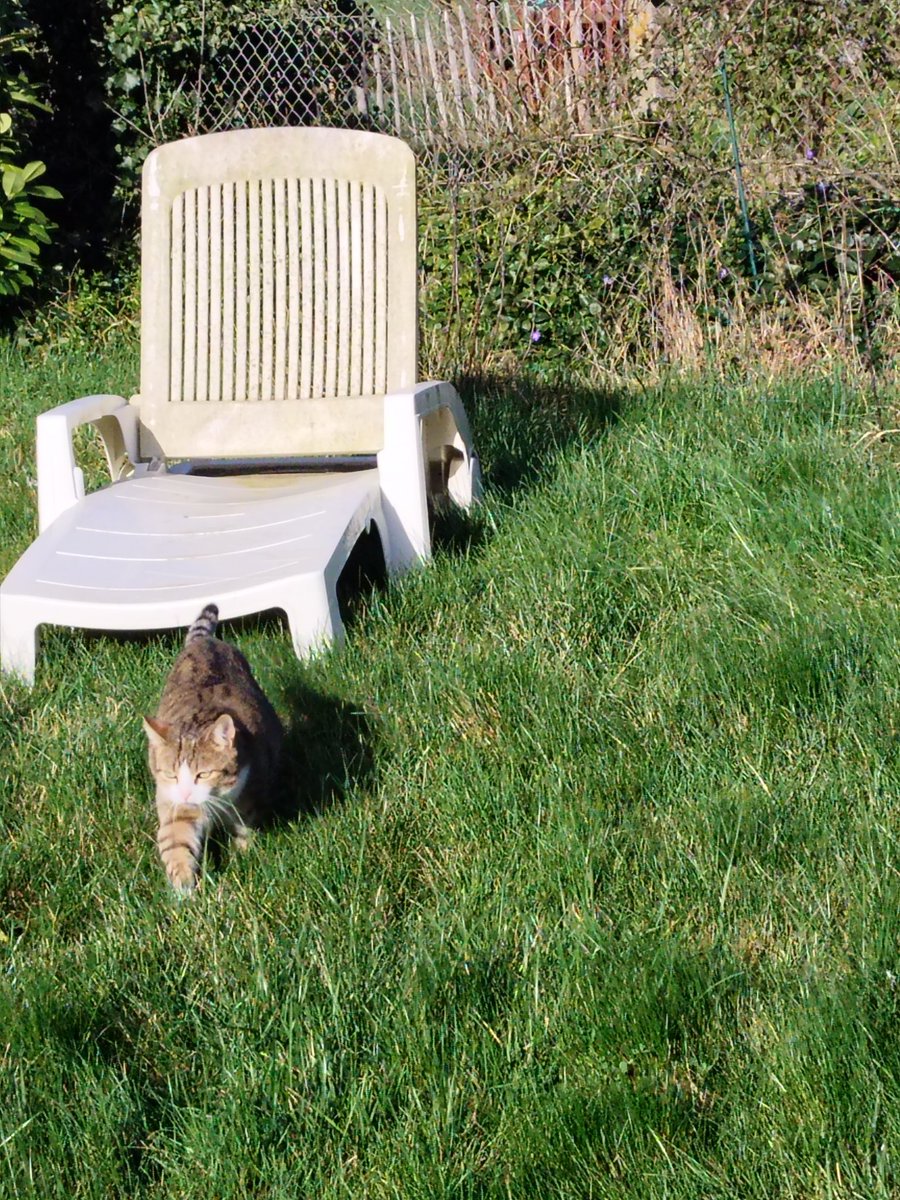 DelphesEC tweet media