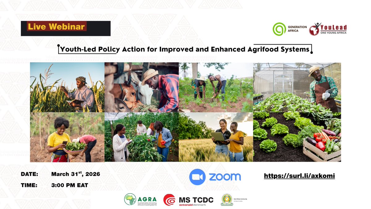 YouLead Africa tweet media