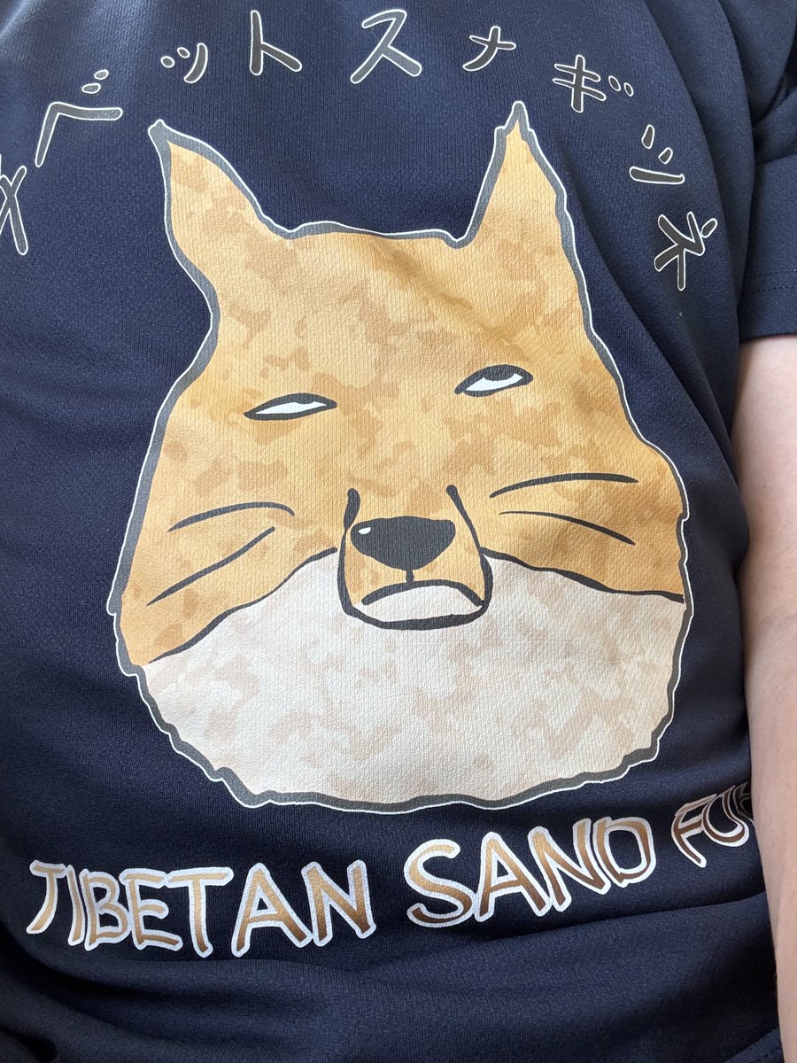 FluffyRanShama@現実🫠 tweet media