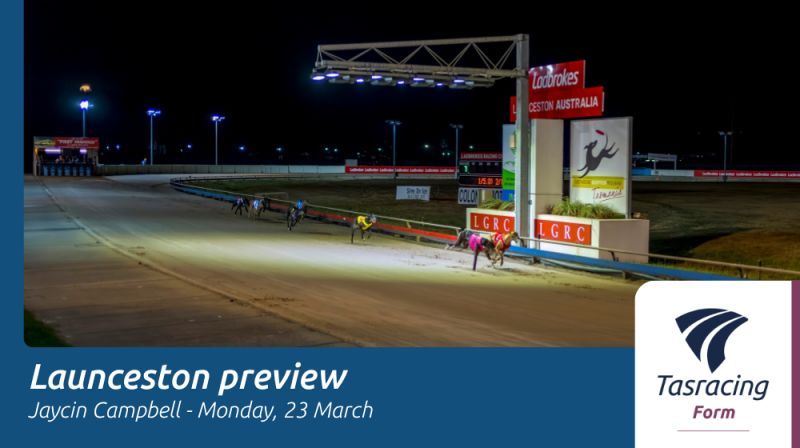 Tasracing Australia tweet media