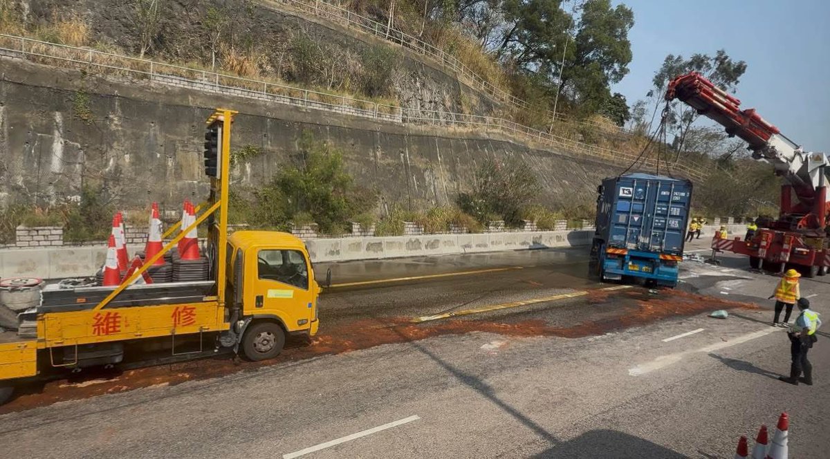 トンちゃん(17) tweet media