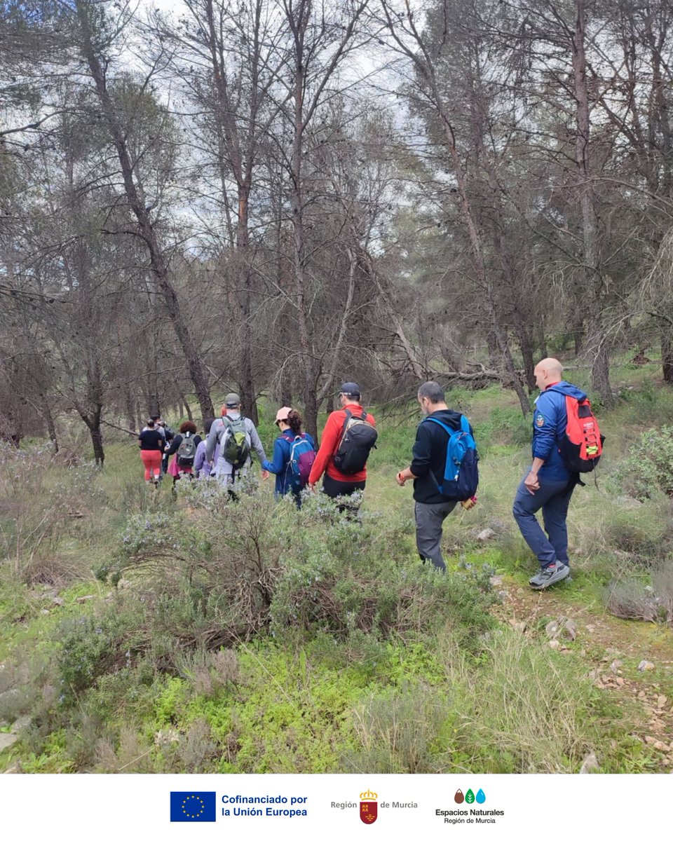 SierraEspunaPR's tweet photo. Ayer celebramos el #DíaInternacionalDeLosBosques en #ElBerro 🌿
Un paseo para recordar que los #Bosques son vida: protegen la #Biodiversidad, cuidan nuestra #Salud y sostienen el #Futuro 🌍
¡Conservarlos es responsabilidad de todos!
#ForestDay #BosquesyEconomías https://t.co/I0qdn7YFKp