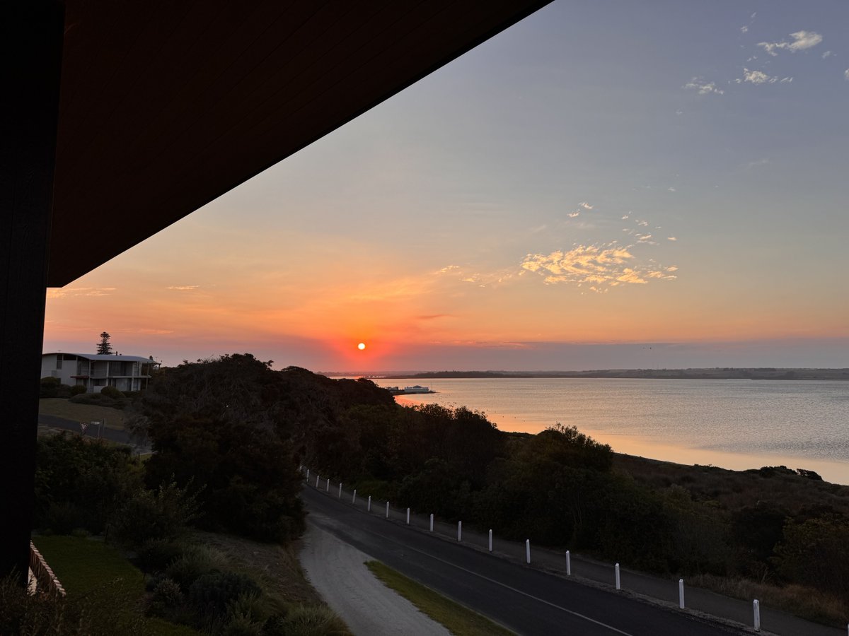 Dorian Grey(hound) tweet media