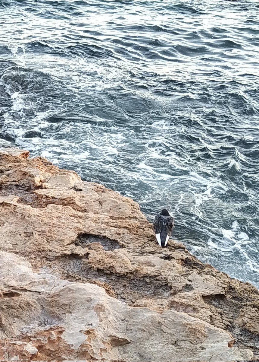 Ewa 🌼 tweet media