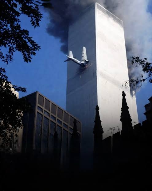 Erdkröte tweet media