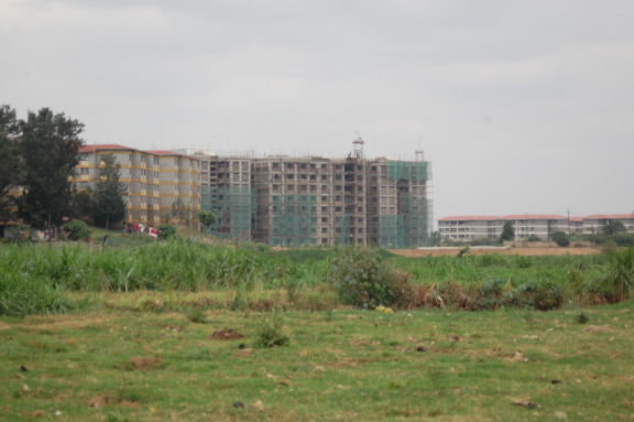 MAJIMAJI tweet media