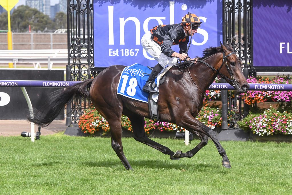 Sporting Post tweet media